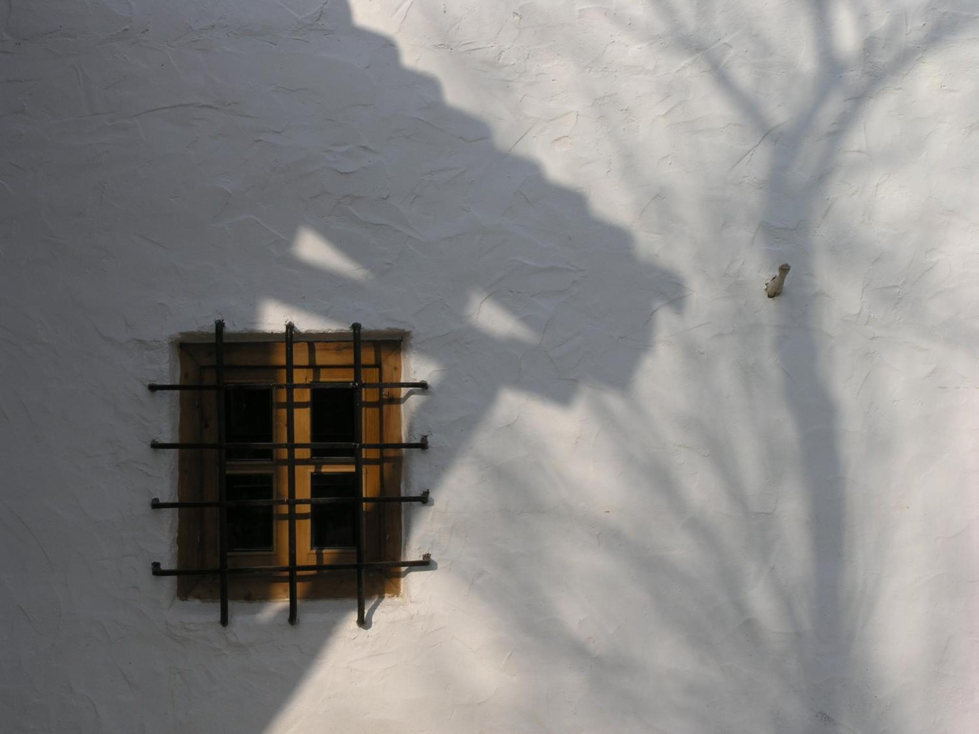 Casa Rural La Alameda Madridejos Bagian luar foto