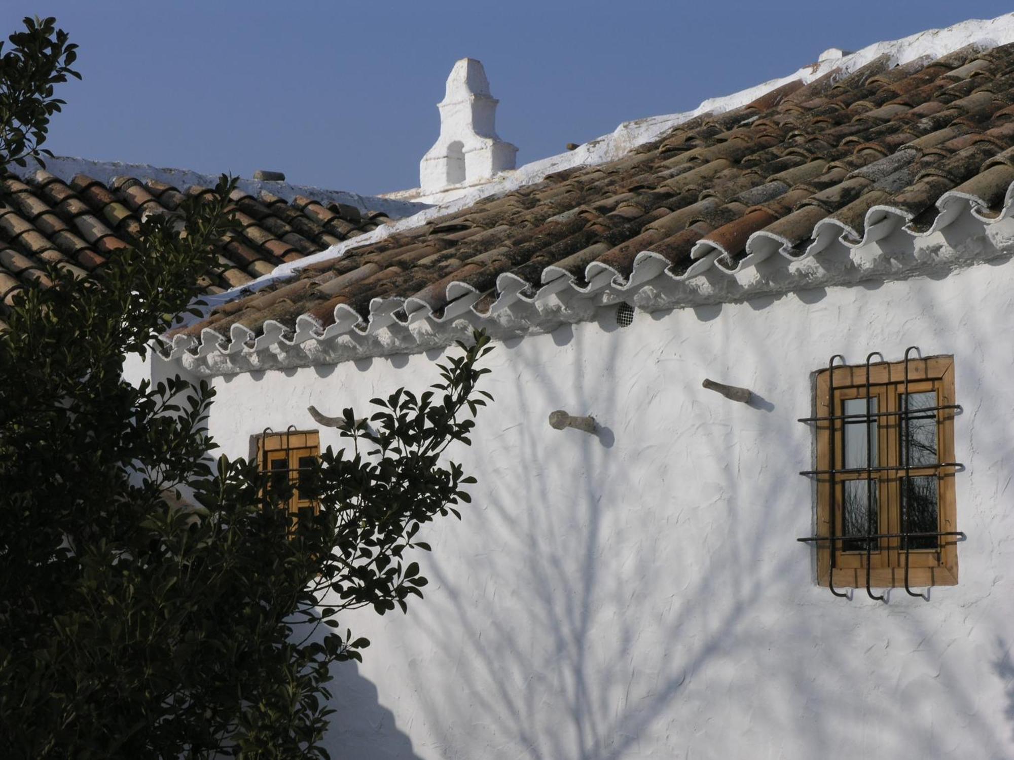 Casa Rural La Alameda Madridejos Bagian luar foto