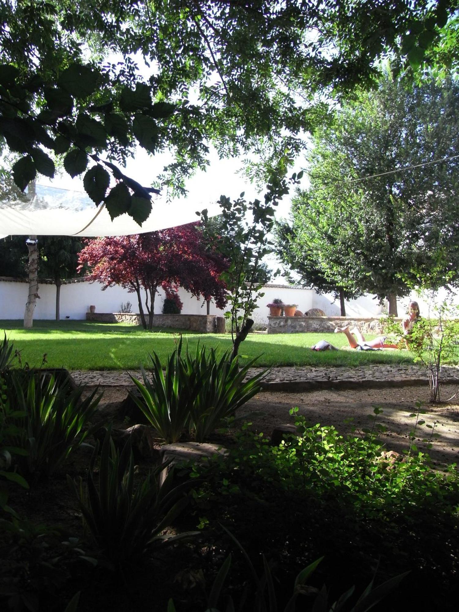 Casa Rural La Alameda Madridejos Bagian luar foto