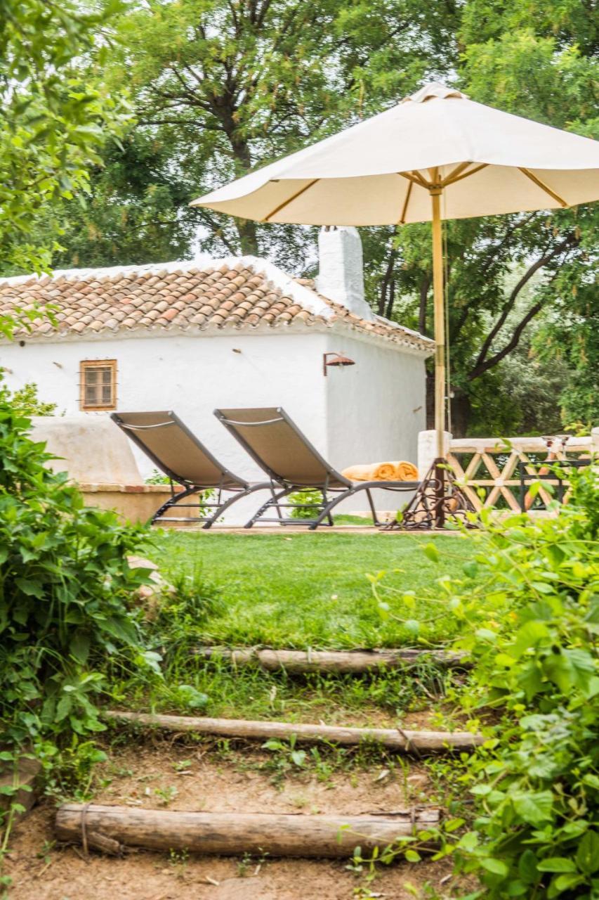 Casa Rural La Alameda Madridejos Bagian luar foto
