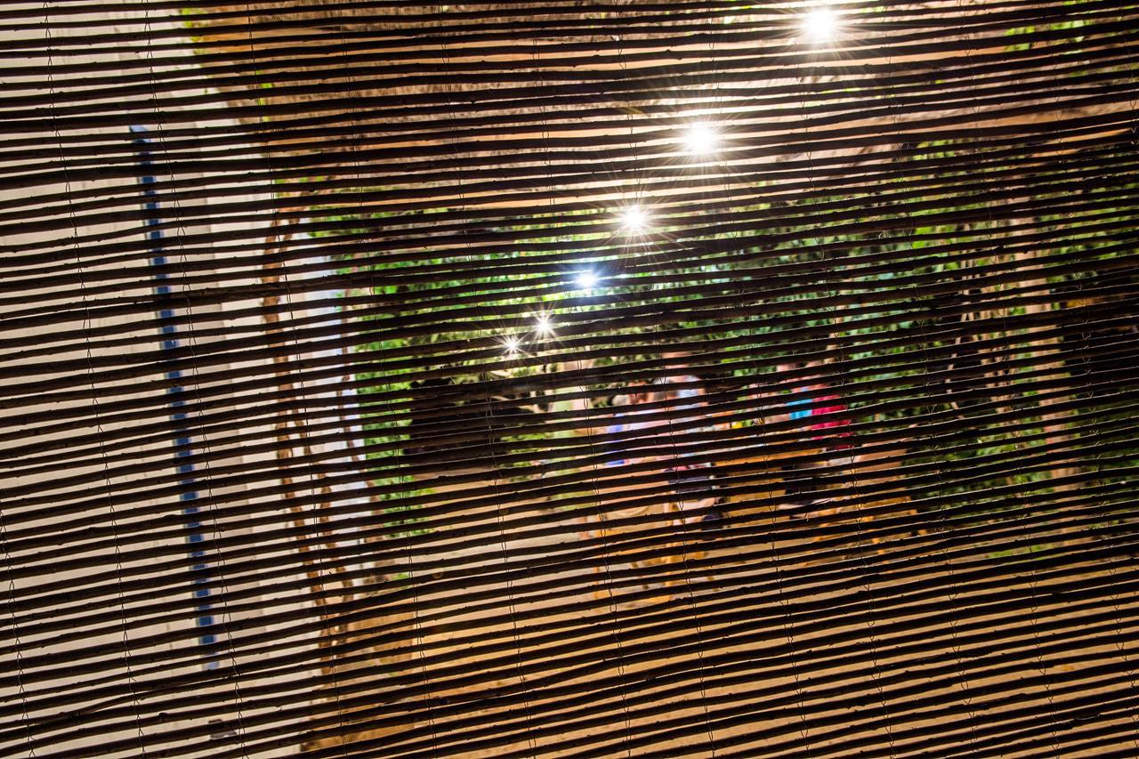 Casa Rural La Alameda Madridejos Bagian luar foto