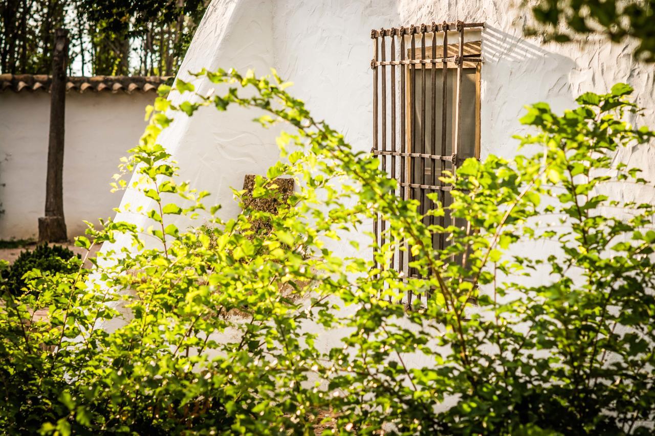 Casa Rural La Alameda Madridejos Bagian luar foto